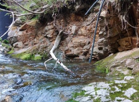 雪の残る渓流でイワナ爆釣 ～九頭竜川水系～